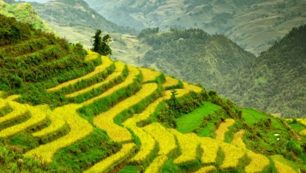 vietnam